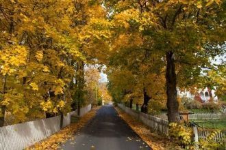 Осенний&nbsp;Конгсвингер.