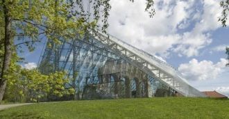 Руины старого Кафедрального собора в Хам