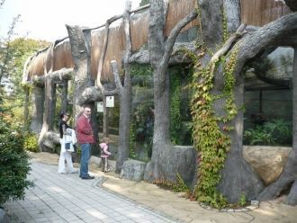 Зоопарк в Ополе – зоологический сад на о