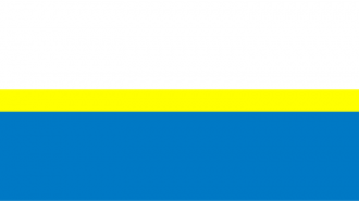 Флаг города Ченстохова.
