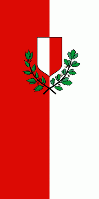 Флаг города Пореч.