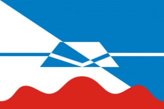 Флаг города Красногорск.