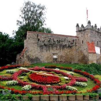 Руины замка Новы Сонч.