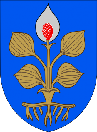 Герб города Хамина.