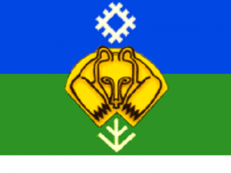 Флаг Сыктывкара.