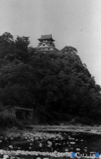 Замок вдали (старое фото)