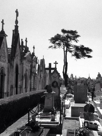 Старое кладбище. История Авейру.