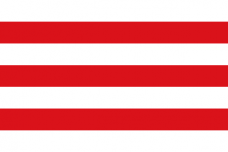 Флаг города Лир.