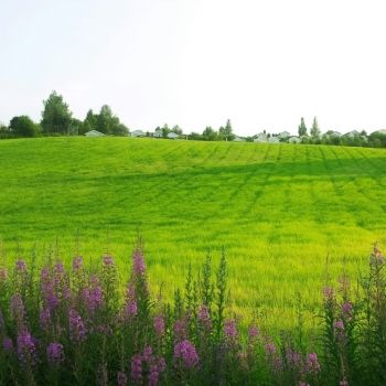 Окресности.