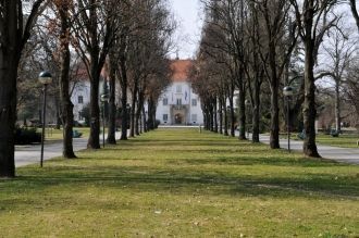 Городской парк.