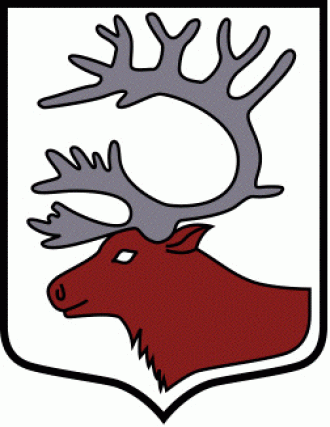 Герб города Питео.