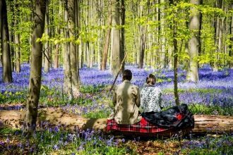 Местные жители города Халле.