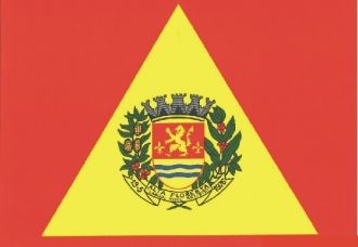 Флаг г. Алта.