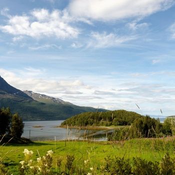 Окресности.