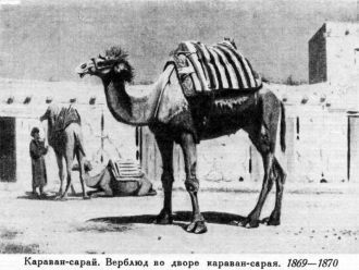 Город Шымкент в прошлом.