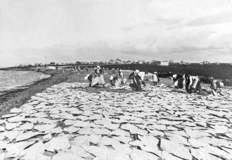 Акранес, 1900 год.