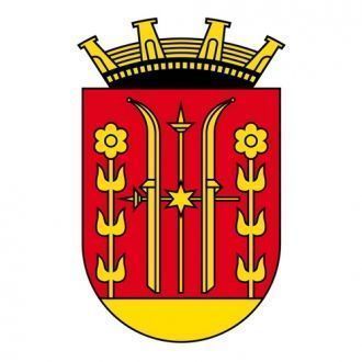 Герб г. Шиен.