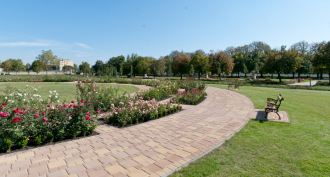 Сад роз. Сольнок, Венгрия.