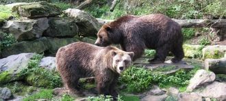 Зоопарк Дечин в Ческа-Липа.