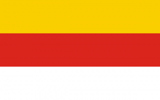 Флаг Грудзёндза.