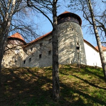 Замок Дубовац в Карловаце.