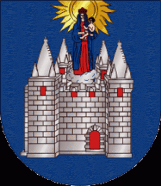 Герб города Санта-Мария-да-Фейра.