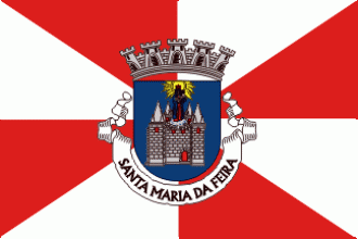 Флаг города Санта-Мария-да-Фейра.