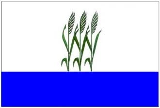 Флаг города Камышин, Волгоградская облас