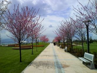 Измит,&nbsp;Турция.