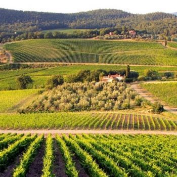 Окресности&nbsp;Вршаца