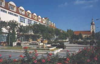 Город Сеница в прошлом.