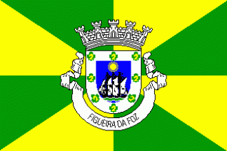 Флаг города Фигейра-да-Фош