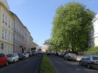 Улица Палахова