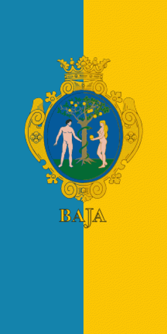 Флаг города Байя.