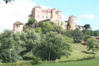 Крепость в г. Дьюла.