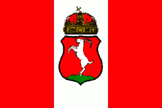 Флаг города Кечкемет.