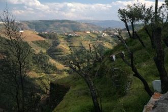 Вид на Вила-Реал.