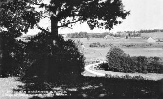 Мадона 1940 год.