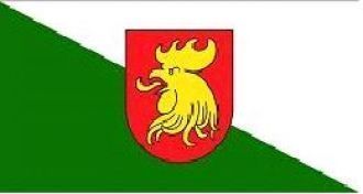 Флаг г. Мадона.