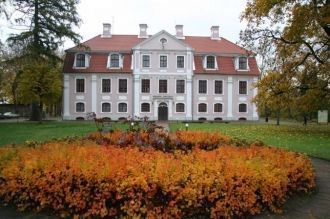 Дворец Дзелзавского поместья.