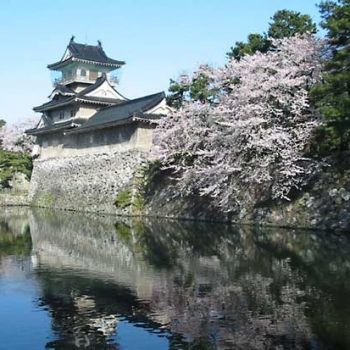 Замок Тояма.