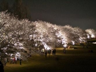 Город Тояма ночью.