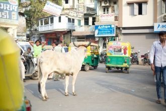 Улица Ахмадабада.