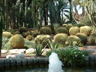 Город Торревьеха.