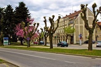 На улицах города Копривница.