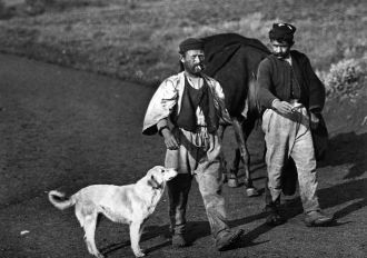 Мужчины с собакой на дороге Превеза – Ян