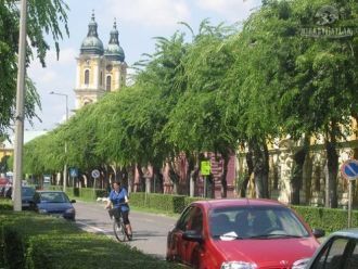 Улица в г.  Калоча.