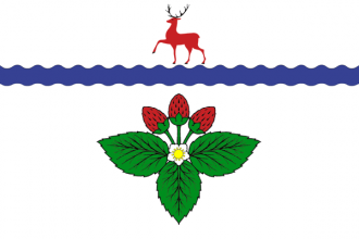 Флаг Кстово.