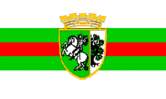 Флаг города Сливен, Болгария.
