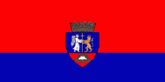 Флаг города Орадя.